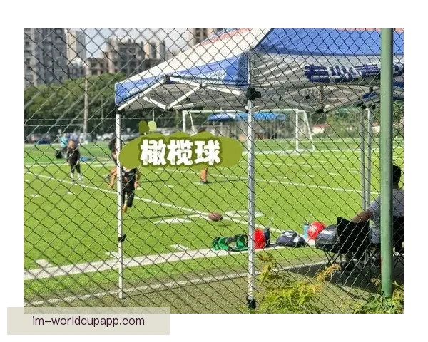 世界杯精彩竞猜攻略助你赢大奖乐享球场激情体验 世界杯精彩竞猜攻略助你赢大奖乐享球场激情体验