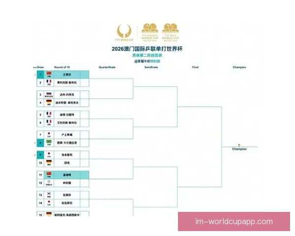 世界杯最新竞猜赔率对比分析及热门球队胜算深度解析