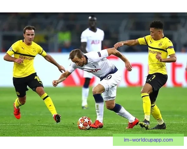 阿斯拉尼入多特引援关注名单 目前双方尚未展开接触