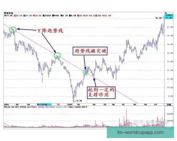 体育竞猜赔率深度解析：如何解读和利用赔率提升投注胜率